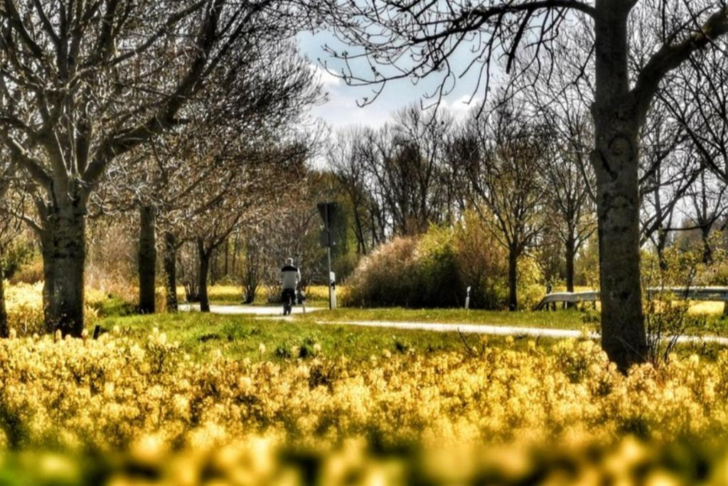 Apartmentvermittlung Mehr Als Meer - Objekt 11 Timmendorfer Strand Bagian luar foto